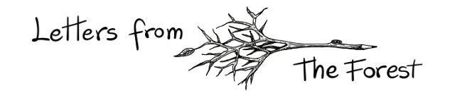 Letters From The Forest logo
